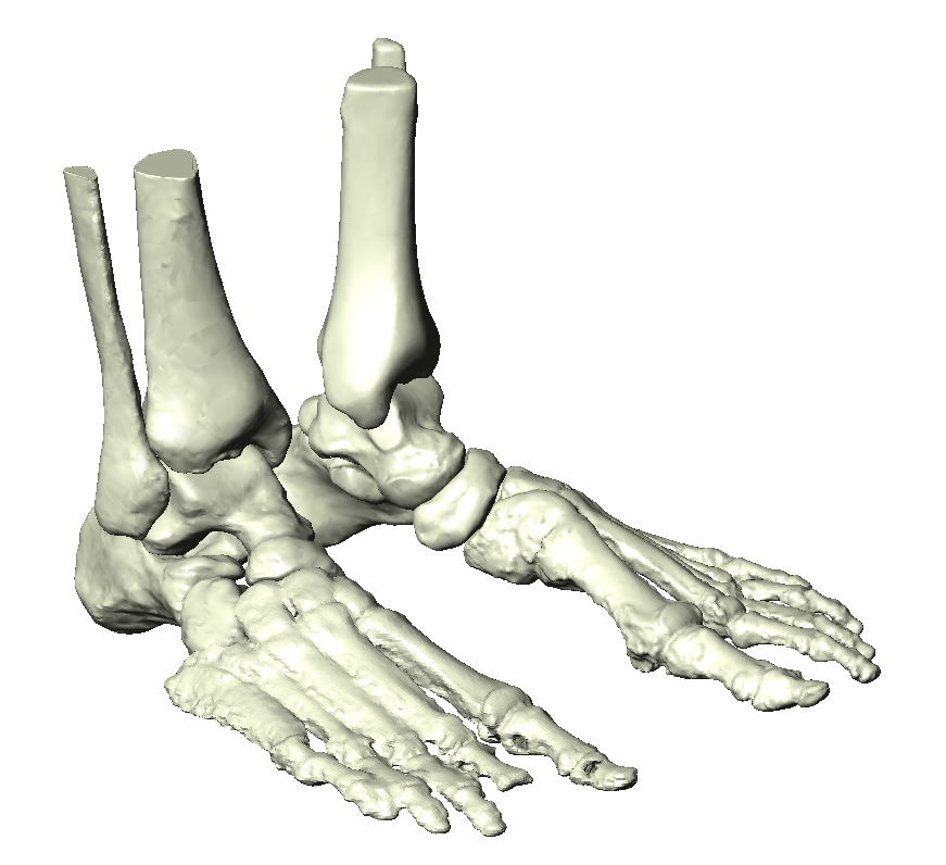 08 Both Feet iso view