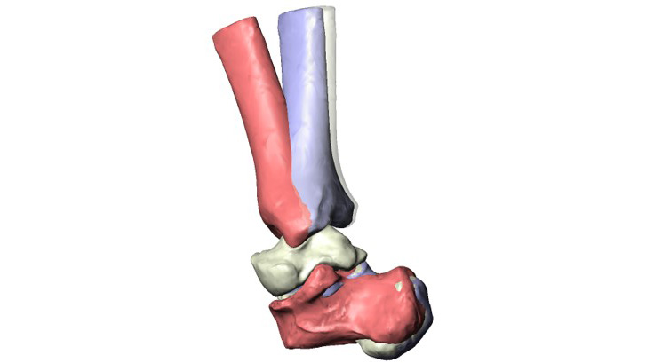 Design & Dev Image 4