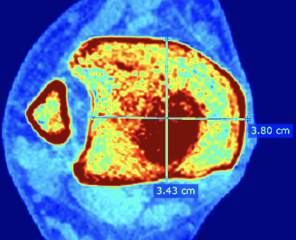 Design and Development-Mar-27-2