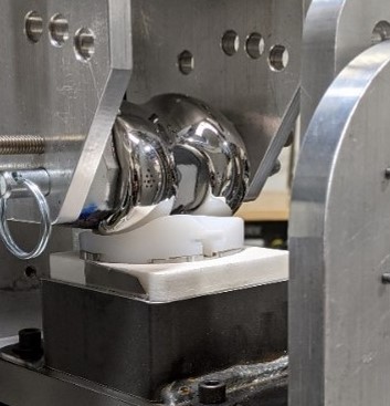 Design and Development FMDD Testing Knee Wear Testing